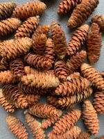 Шишки ялинкові набір 50 шт - Новорічний та різдвяний декор